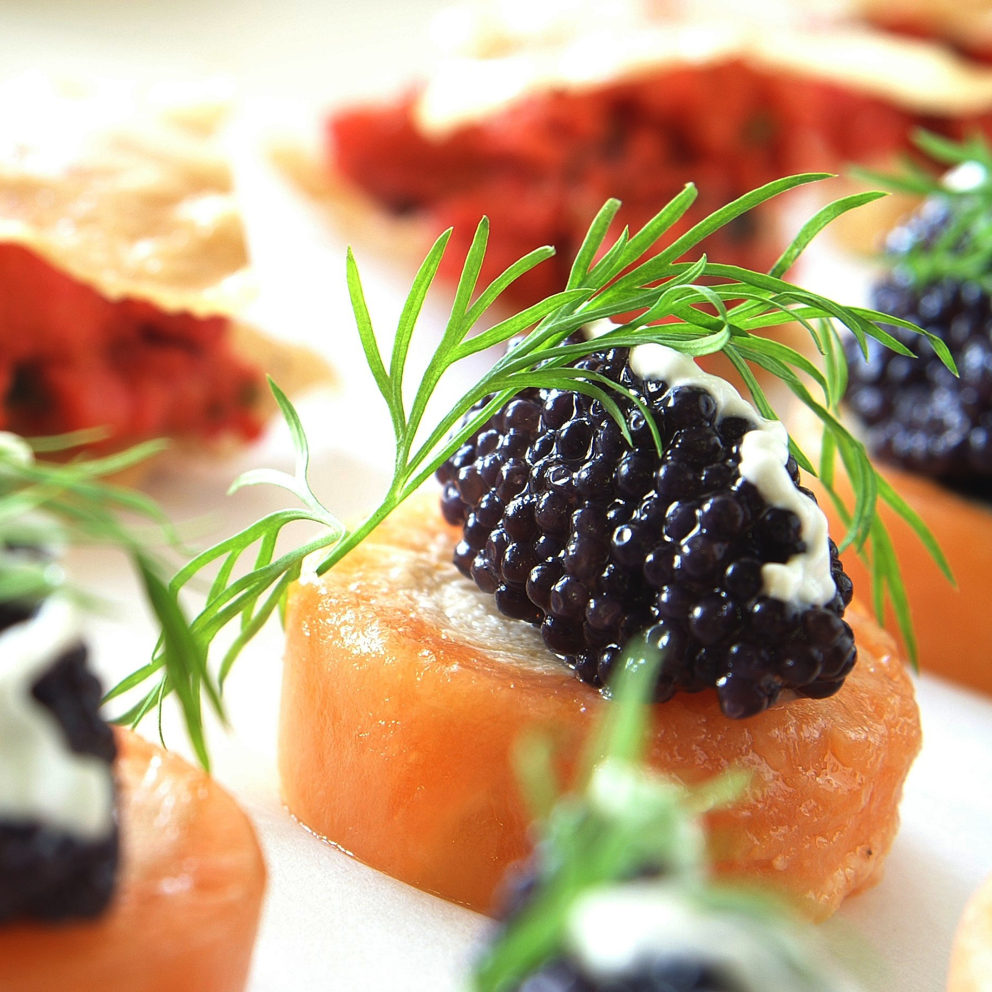 Coquetel corporativo com finger food Cambucá